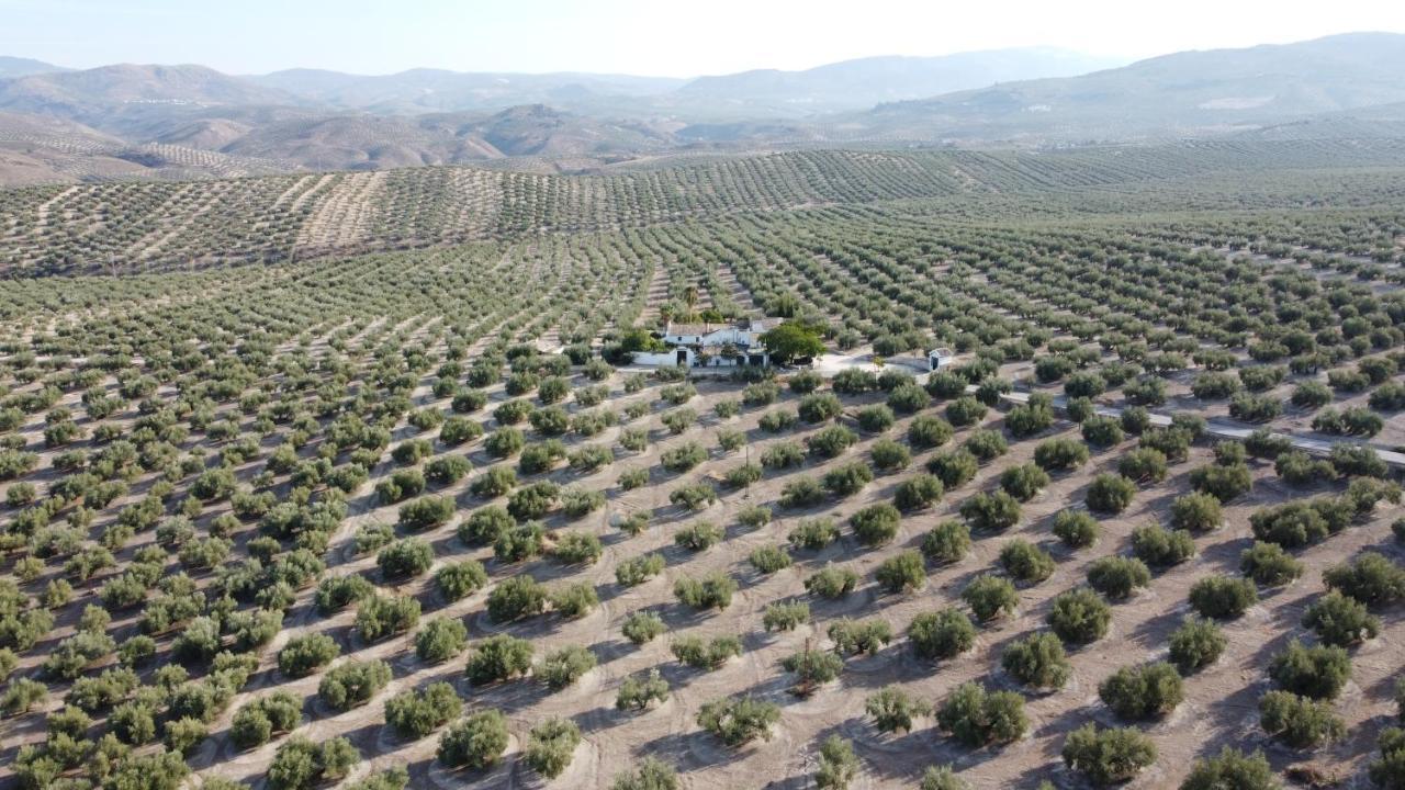 Casa De Familia Cortijo La Cubertilla Fuente-Tojar Kültér fotó